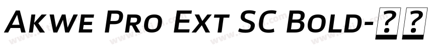 Akwe Pro Ext SC Bold字体转换